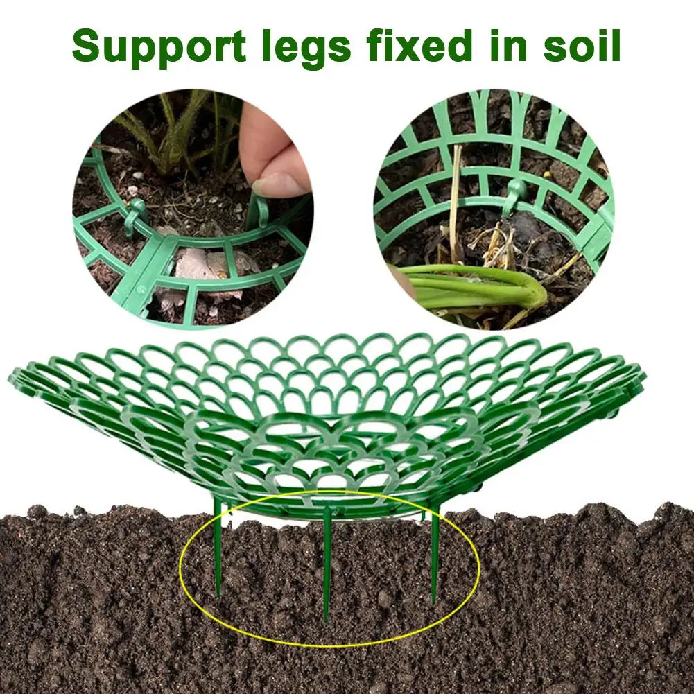 

10pcs Strawberry Plant Supports With 3 Sturdy Legs Protector Holder Dirt Racks Frame Cage Growing Rot Strawberry Mold From T1c6