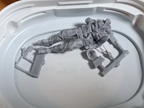 Buyer photo of this resin kit
