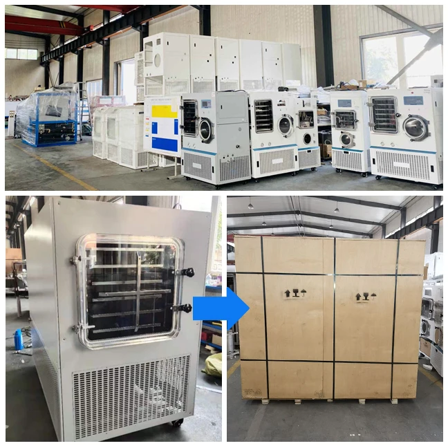 식품 건조기 상업용 과일 및 채소 사과 바나나 칩 탈수기