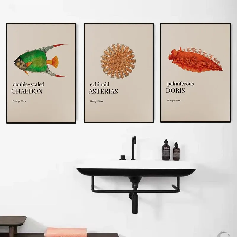 GEORGE SHAW Marine Biology Poster Vintage Sea Animals Aquatic Plants Fishs Slug Coral Canvas Painting Wall Art Room Home Decor