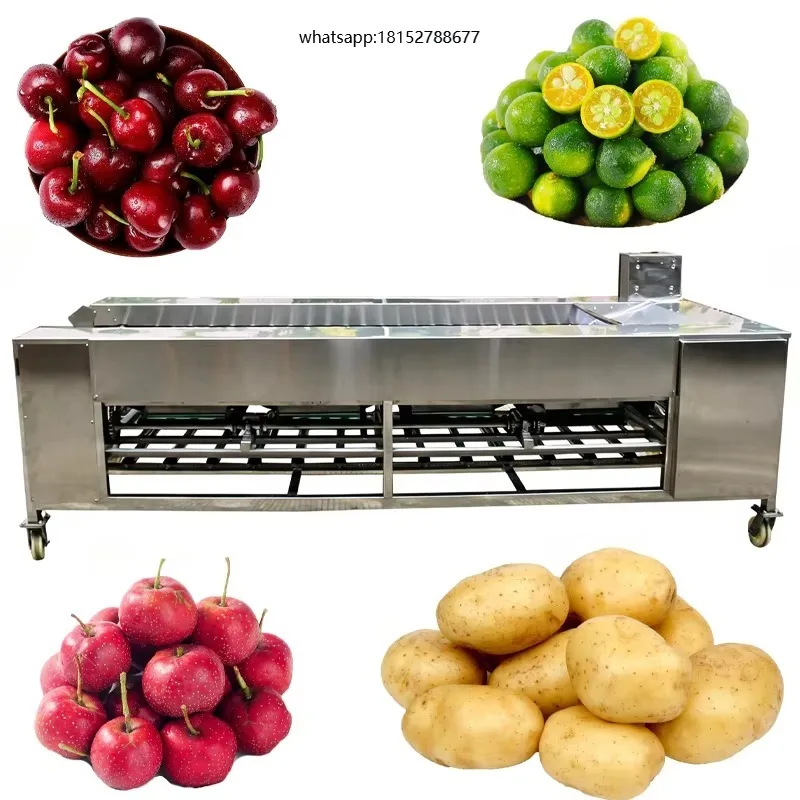 Fruit Sorting Conveyor Olive Sort Olive Grading Machine Grader Guava Papaya Pear Vegetable Sorting Machine