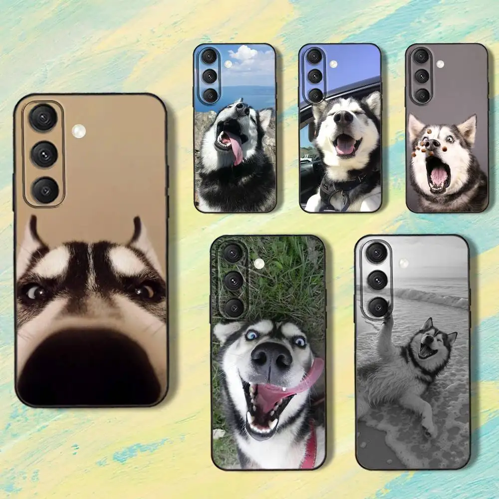 

SiberianS Funny H-Husky Dog Phone Case For Samsung S25,S24,S10,S22,S21,S20,S23,Ultra,Plus,Lite,FE,Soft Silicone Black Cover