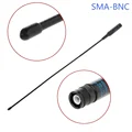 BNC