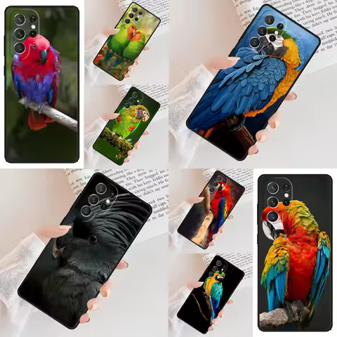 Animal Macaw Parrot Colourful Phone Case For Samsung Galaxy S24 S23 S22 S21 Ultra S10 Note 10 Pro S20 Plus FE S9 S8 Cover