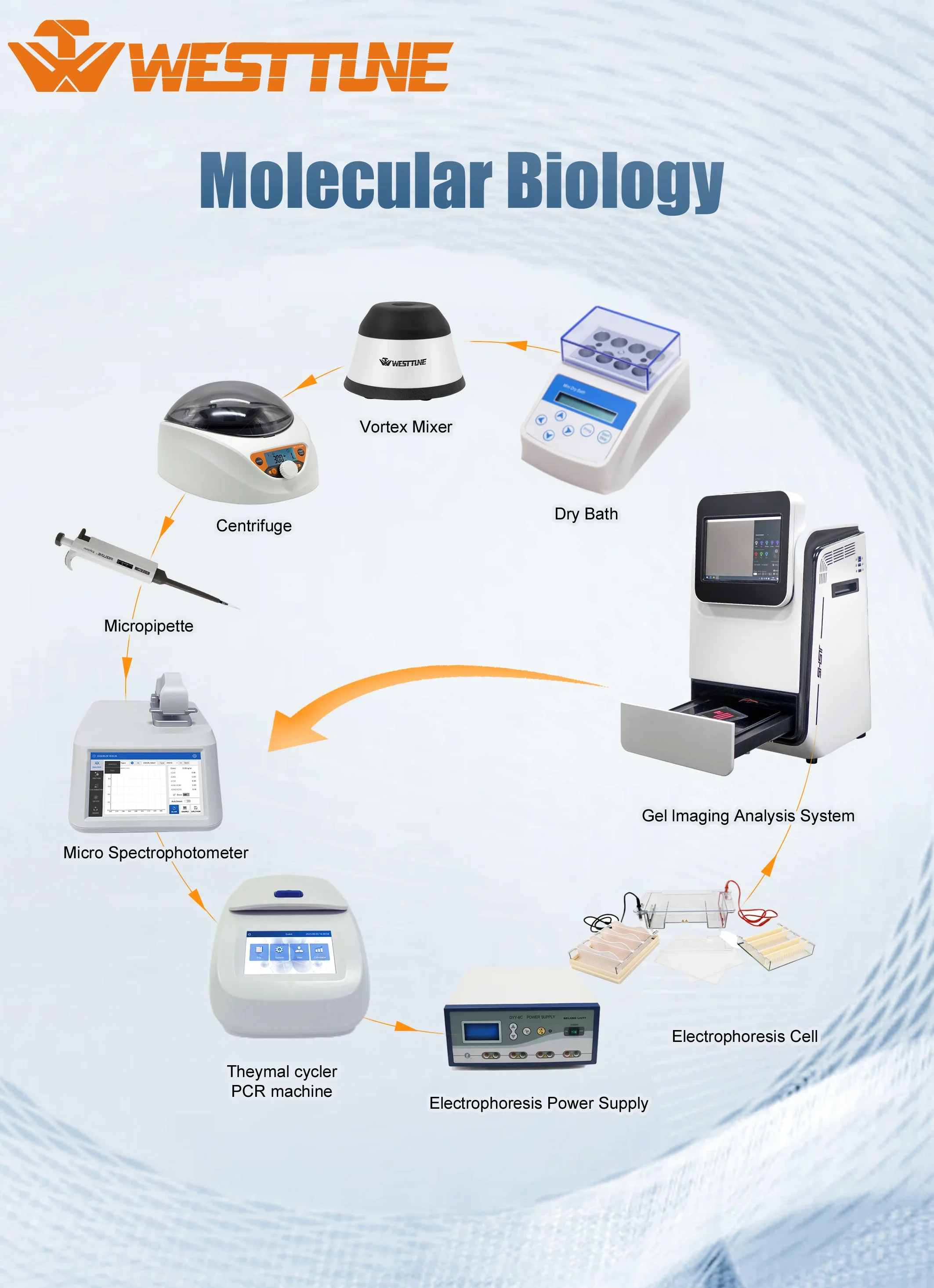 Máquina de amplificación y secuenciación de ADN, ciclador térmico, gradiente de pozo PCR, laboratorio económico, 16, 32