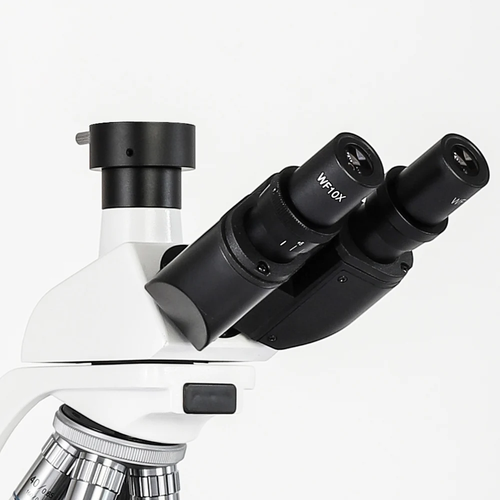 Murzider Biomicroscopy for Pet Hospitals for Examination and Tumor Diagnosis MSD1125-B