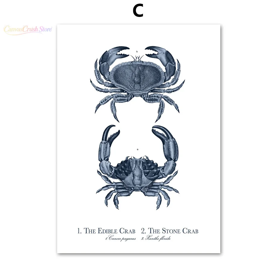 Blue Fossil Octopus Fish Turtle Seahorse Coral Vintage Posters Prints Wall Art Mural Canvas Painting Pictures Living Room 2026