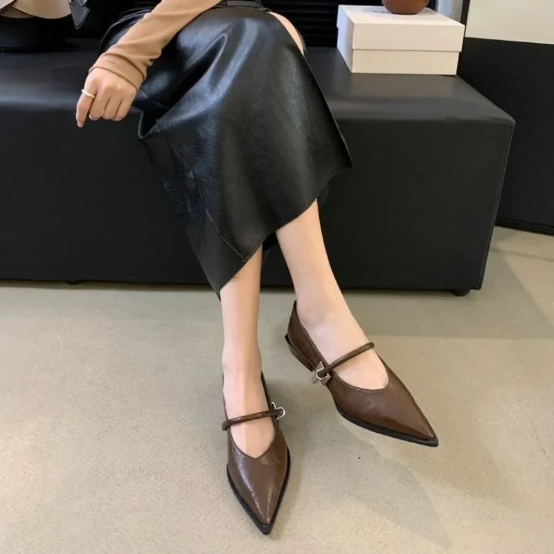 

2025 New Spring Autumn Pointed Toe High Heels Women Pumps Fashion Shallow Low Heel Shoes Ladies Street Style Mary Jane Shoes