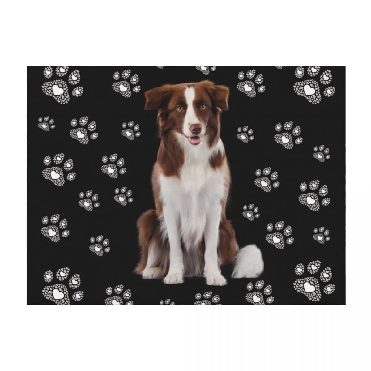 

Brown white border collie, dog with paws, paws, mask Throw Blanket Tourist Soft Big Decorative Sofa Hairy Blankets