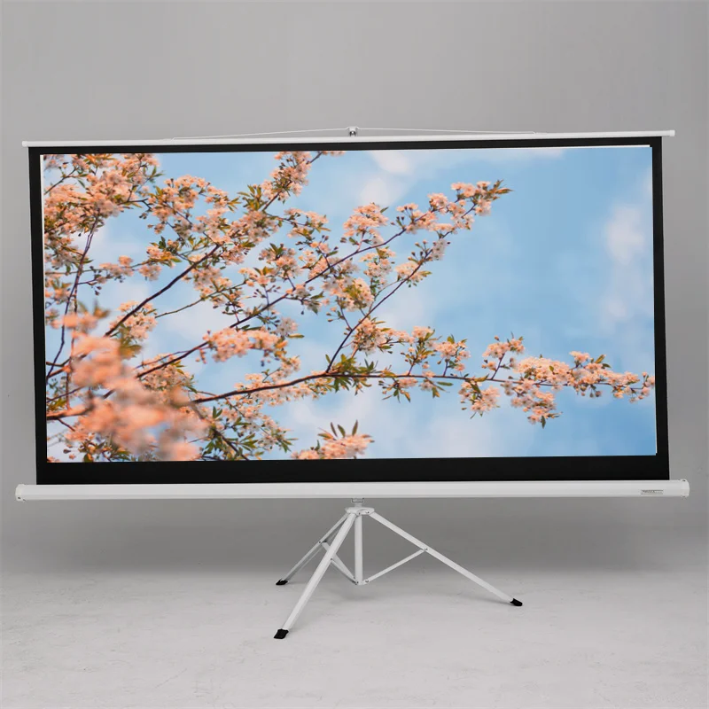 White Projection Sc…