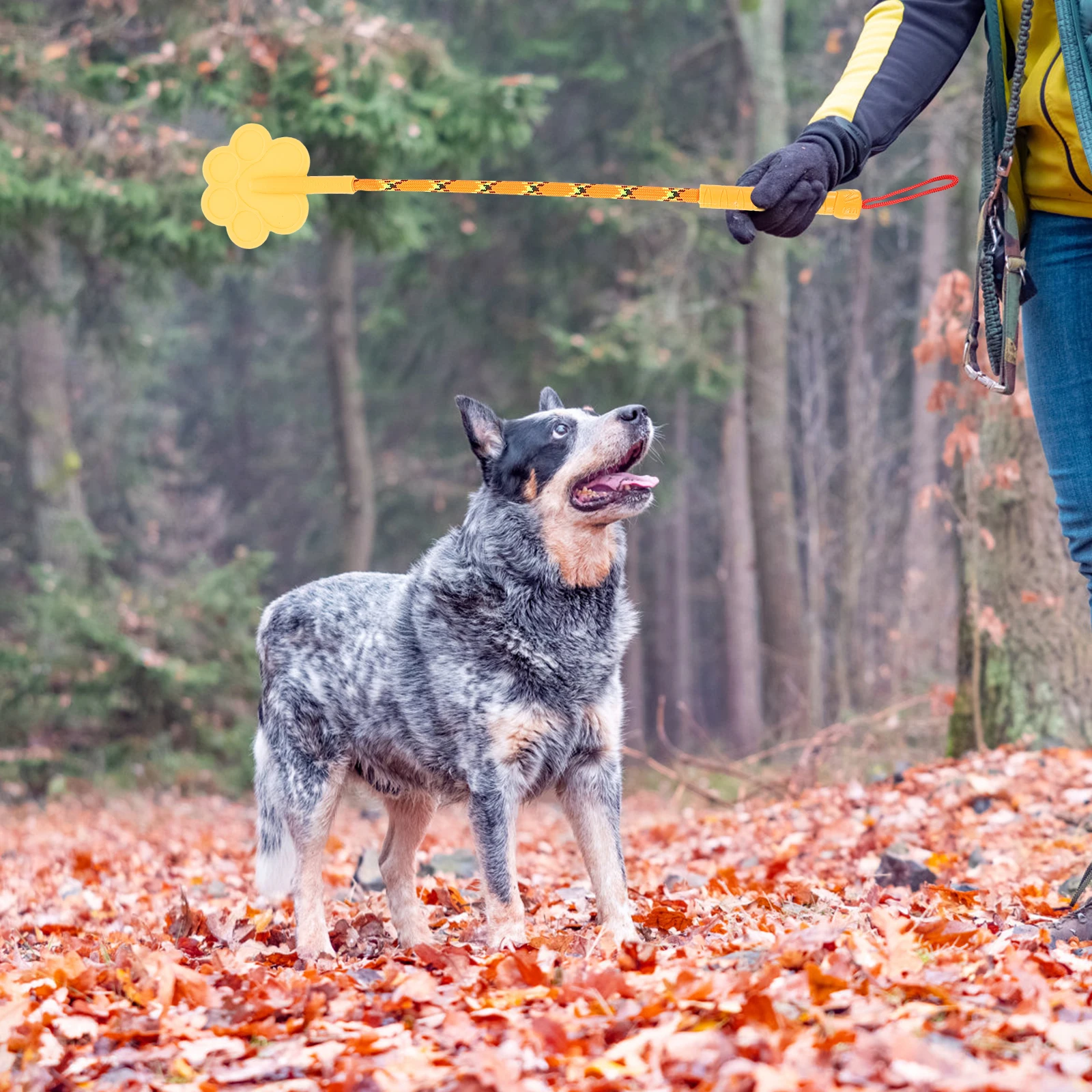 

2Pcs Heart Paw Shape Dog Training Durable Rubber Training Tool Pet Puppy Accessories Dog Pet Accessory