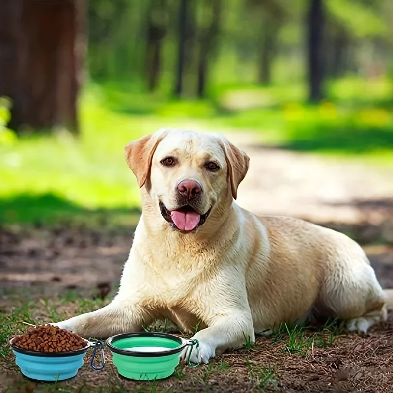 접이식 고양이 먹이 그릇, 여행 개 먹이 용품, 물 용기, 애완 동물 액세서리, 강아지 먹이 공급기, 2 팩