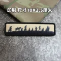 Printing patch 12