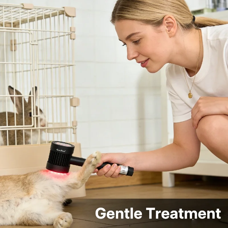 

6x808nm 19x650nm Dual Probe Cold Laser, Targeted Neuropathy Herniated Disc Pain Relief Deep Tissue Healing Device