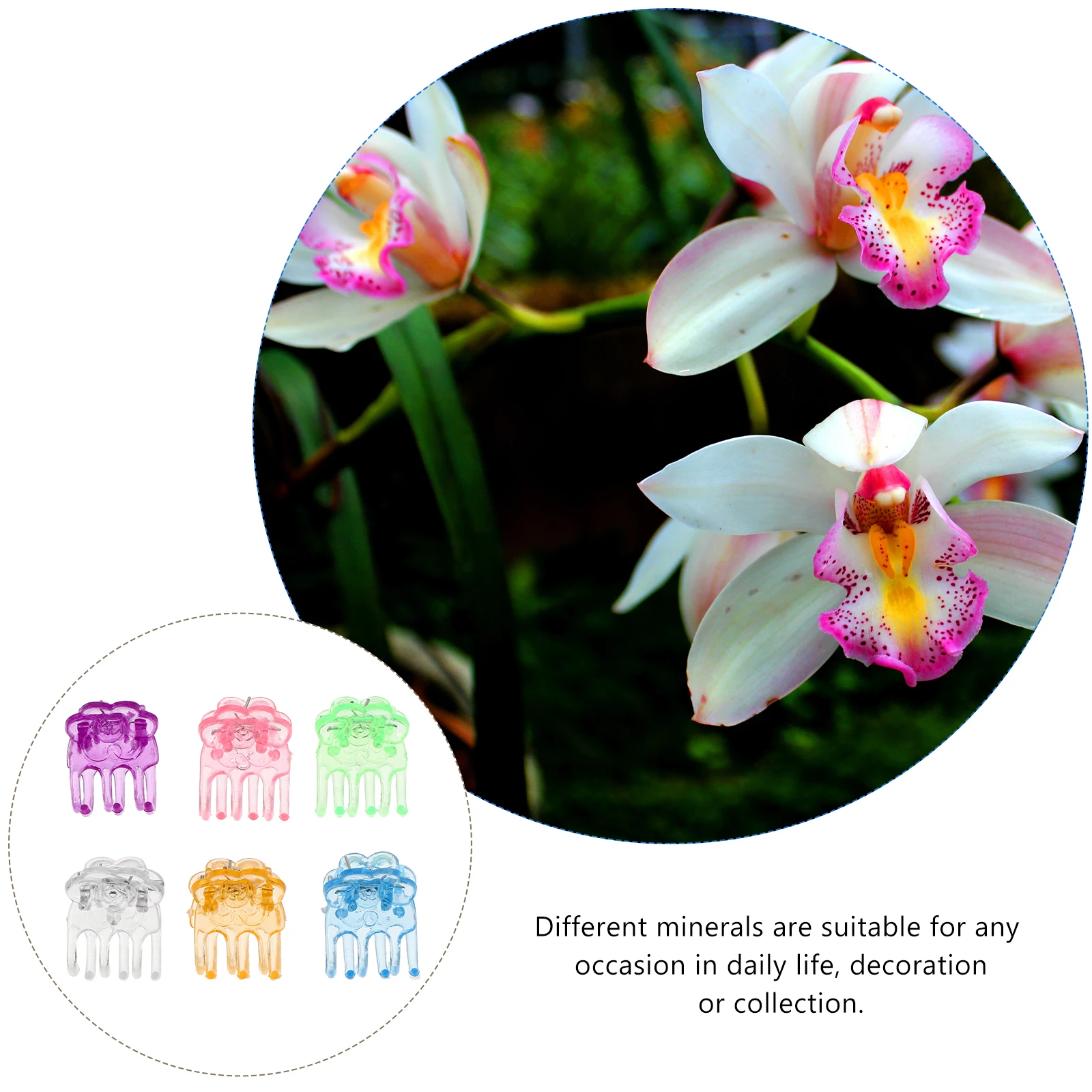 

60 Pcs Flower Vine Orchid Clip Support Rod Garden Plant Clips Plastic Plants for Spikes