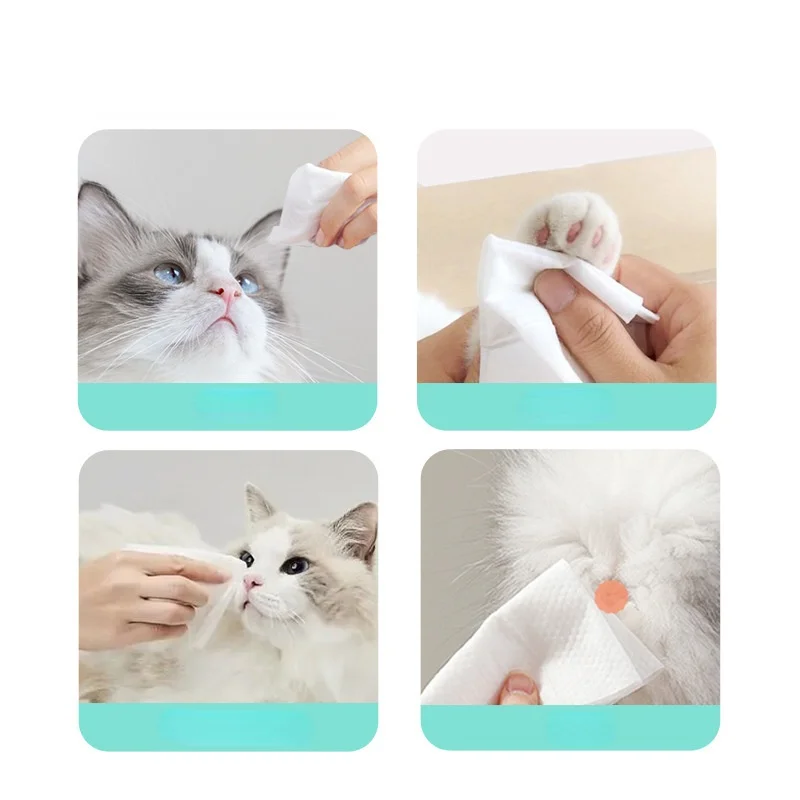 Pet Wet Wipes Dogs Cats Teeth Cleaning Teeth Cleaning Soft Paper Tear Ass Eye Tears Finger Health Care Hygiene Paws Poop 80Pcs