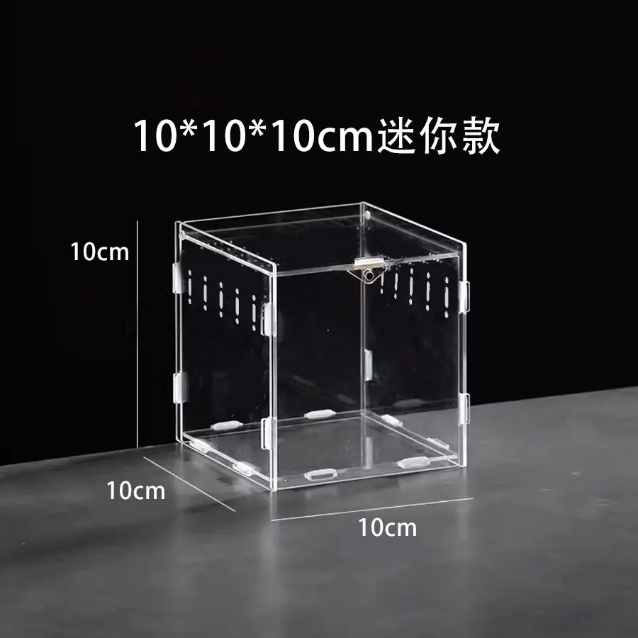 Acrylic Reptile Terrarium Pet Breeding Box Transparent Display Case for Snails Lizards Frogs Snakes - Climbing Pet House