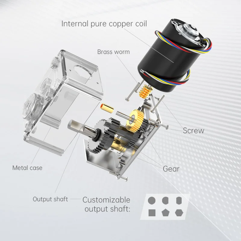 Imagem -06 - Worm Engrenagem dc Engrenagem Motor Frente e Verso Velocidade Ajustável High Torque Brushless Micro Motor 14rpm260rpm 12v 24v A58824260