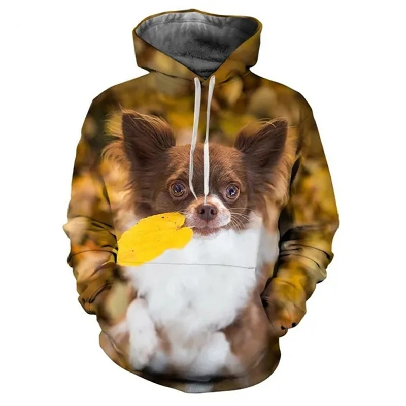 Autumn Animal Dog Chihuahua 3D Print Hoodies Men Women Fashion Casual Sweatshirts Oversized Hoodie Pullovers Tracksuit Clothing