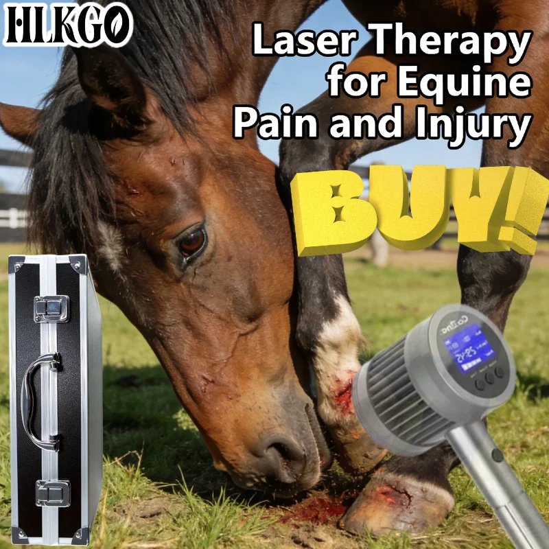 Medical Grade 5W 650nm 808nm Handheld Cold Laser, Class 4 Red Light Device for Canine Osteoarthritis Wound Healing Inflammation