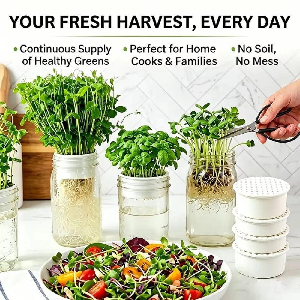 2/4pcs Plastic Seed Sprouting Trays Drain Hole Soil Free Sprout Growing Trays For Wide Mouth Jars Reusable Deep Tray