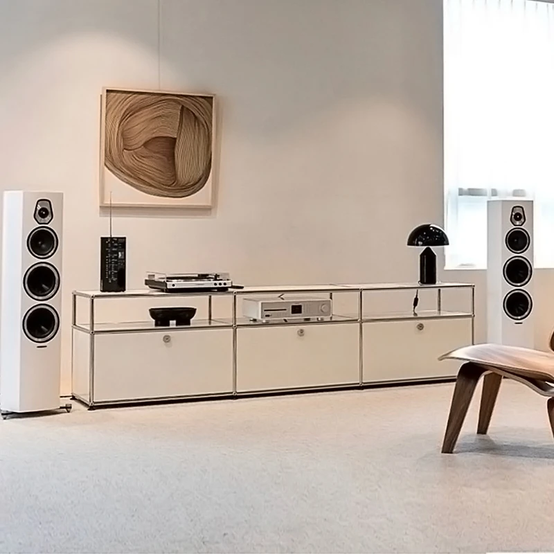 

Бытовая гостиная, обеденный шкаф, сундук, шкаф для хранения, средневековая прикроватная тумбочка для спальни, модуль из нержавеющей стали