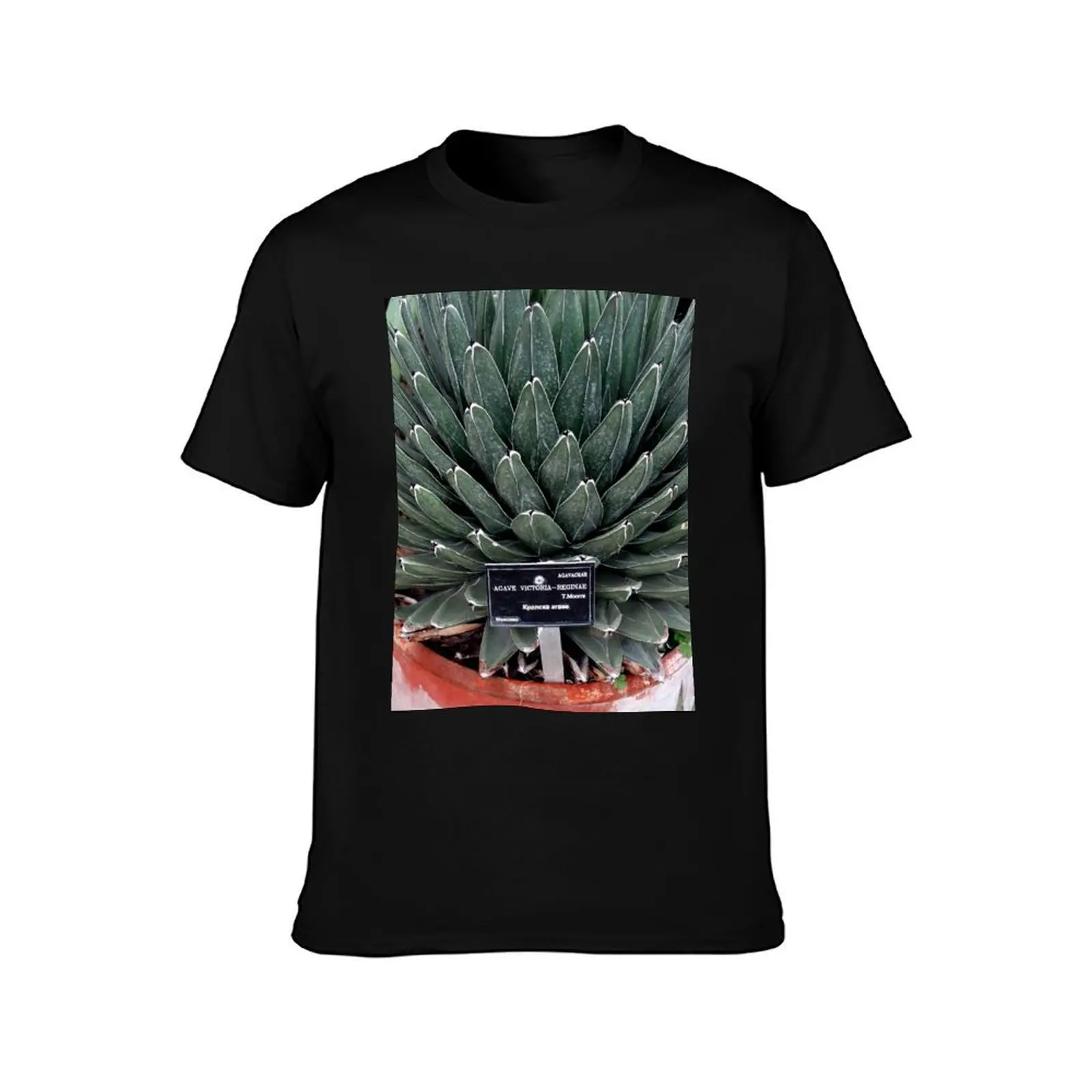 Agave Victoria Plant Photo T-Shirt, Summer Casual Cotton Tee, Oversized Streetwear Tops, Vintage Graphic Print, Unisex Men Women