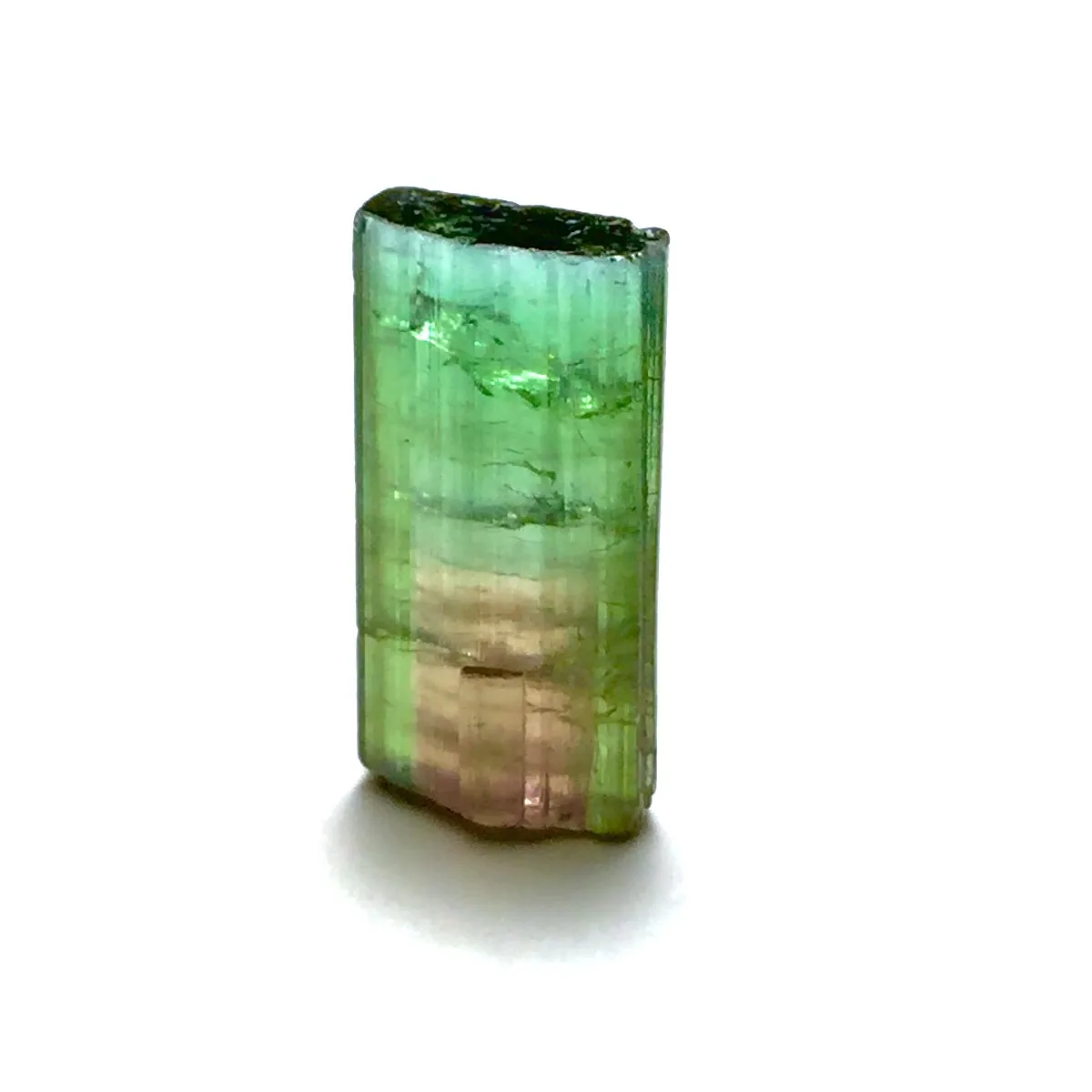 Brazilian Elbaite Rough Stones, 10g 5-15mm Natural Tones, Display Box for Mineral Collection & Shelf Display
