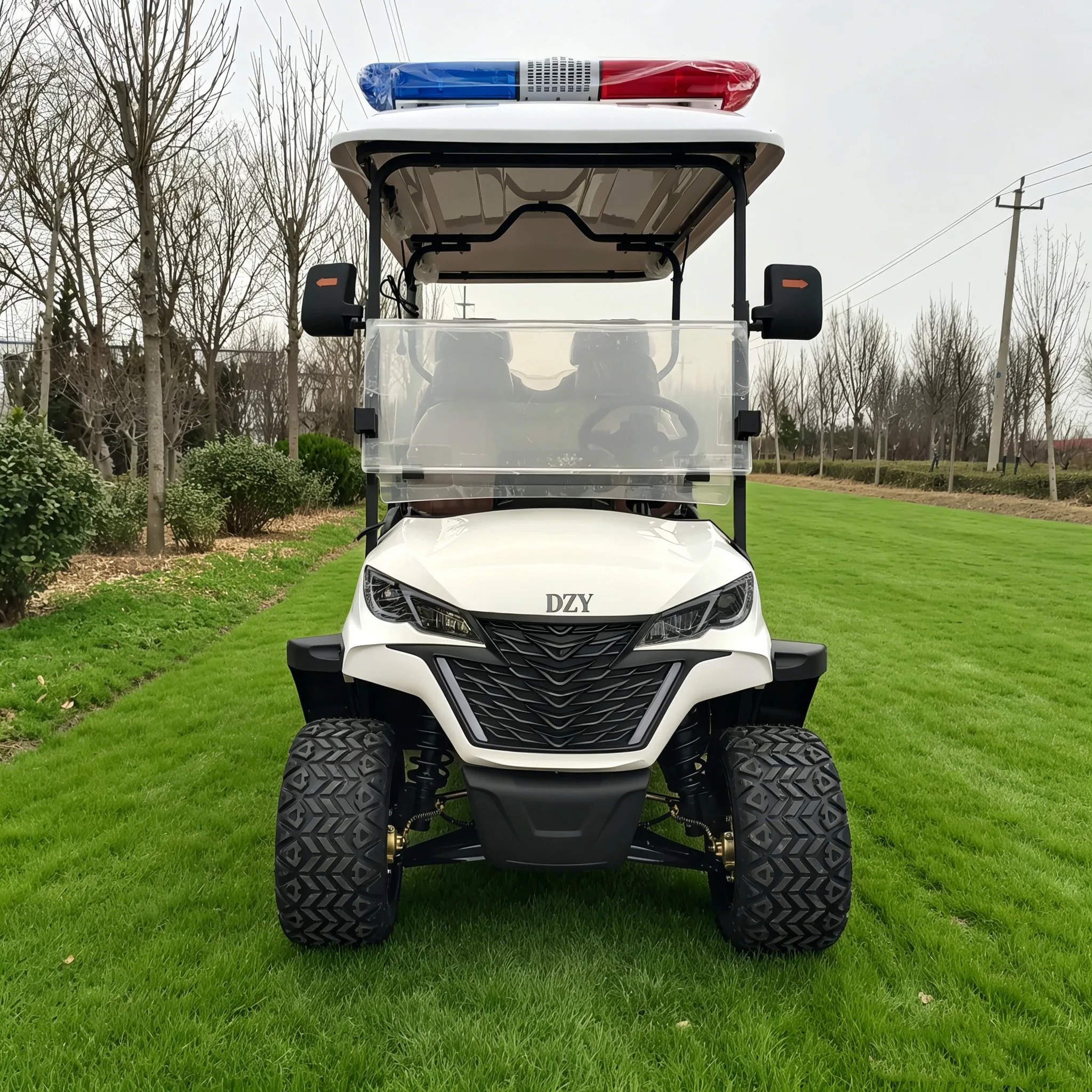 First Aid Convenient Electric Chinese Street Legal Lithium Golf Carts 72v lithium golf cart for Sale free shipping golf cart