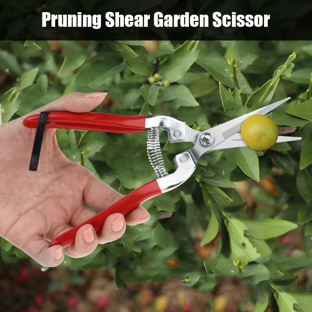 Sturdy Fruit Tree Bonsai Gardening Pruning Shear Garden Scissors Pruner Tool Fruit Scissor Garden Scissor Fruit Tree Scissor