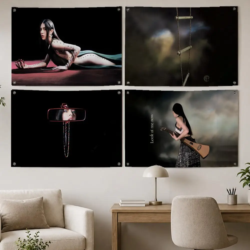Pop Star Caroline Polachek Flags Room Home Decor Wall‑Hanging Art Banner, Outdoor for Bedroom Party Background Decoration