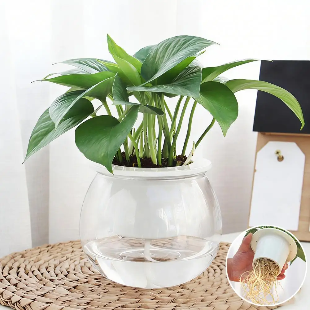 

Planter with Water Wicking System Self Watering Plant Pot with Transparent Reservoir Self Watering Planter for Indoor Flowers