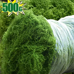 500/30g Eternal Life Moss Artificial Green Plants DIY Crafts Grass Home Room Garden Decoration Mini Landscape Fake Grass Gifts
