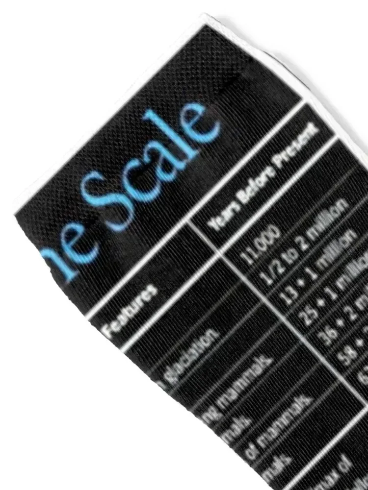 Geologic time scale Socks aesthetic Crossfit Socks Ladies Men's