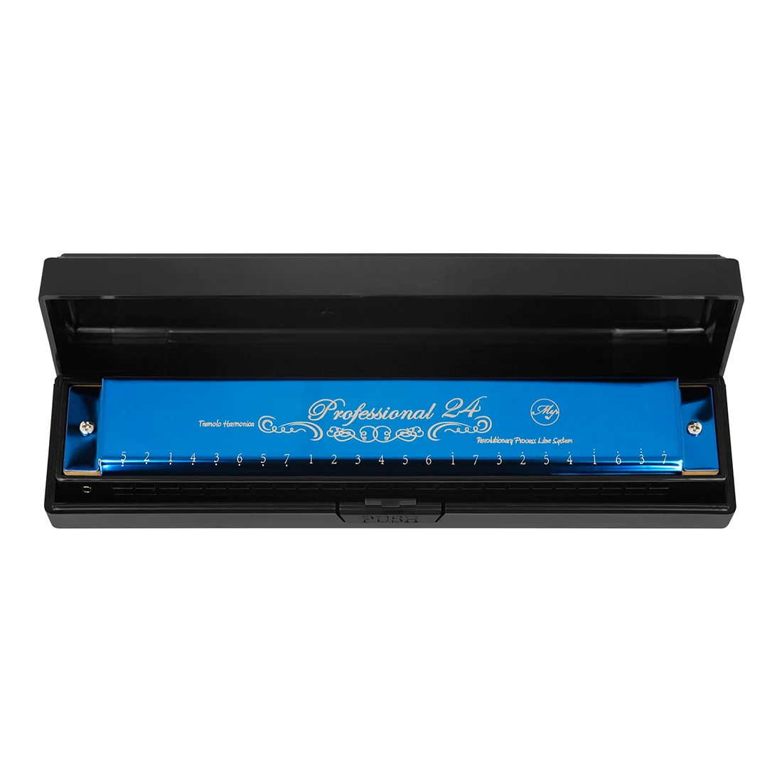 24 حفرة C-مفتاح هارمونيكا المهنية ABS الراتنج شبكة هارمونيكا للمبتدئين أداة عزف موسيقى مع علبة تنظيف الملابس #3