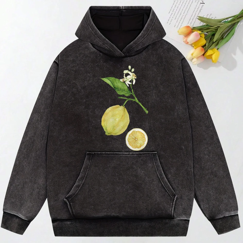 Lemon Branches Simple Print Washed Sweatshirt Couple Hip Hop Loose Hoody Autumn Cotton Streetwear All-Match Soft Women Hoodie