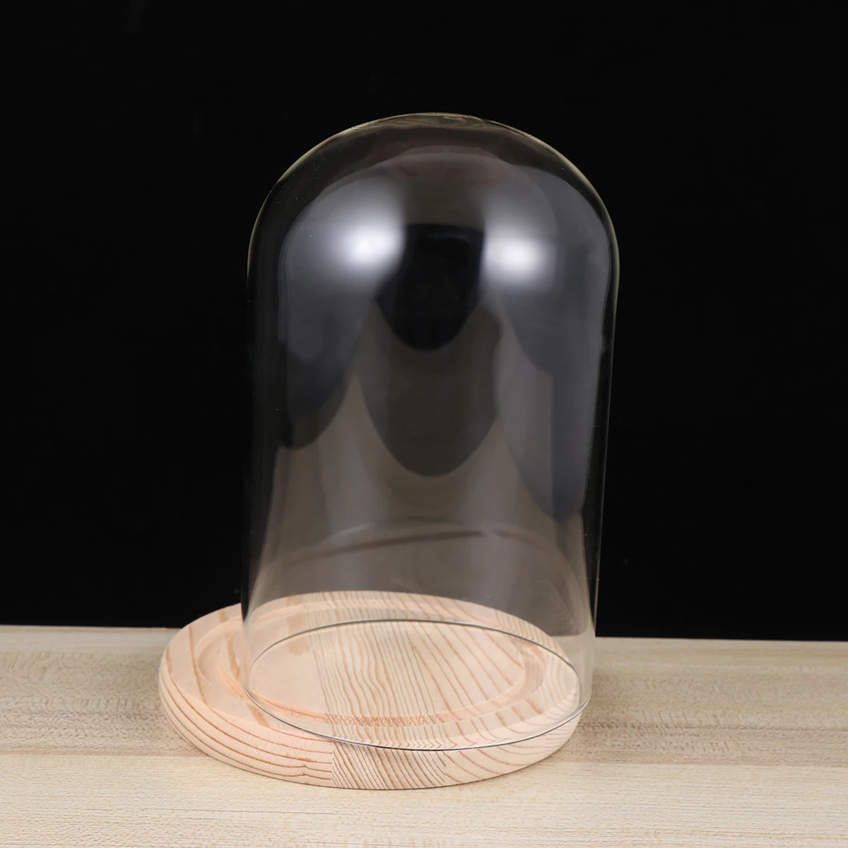 

9 X15cm Preserved Flower Glass Cover Home Decor Dome LED Bamboo Baby Transparent