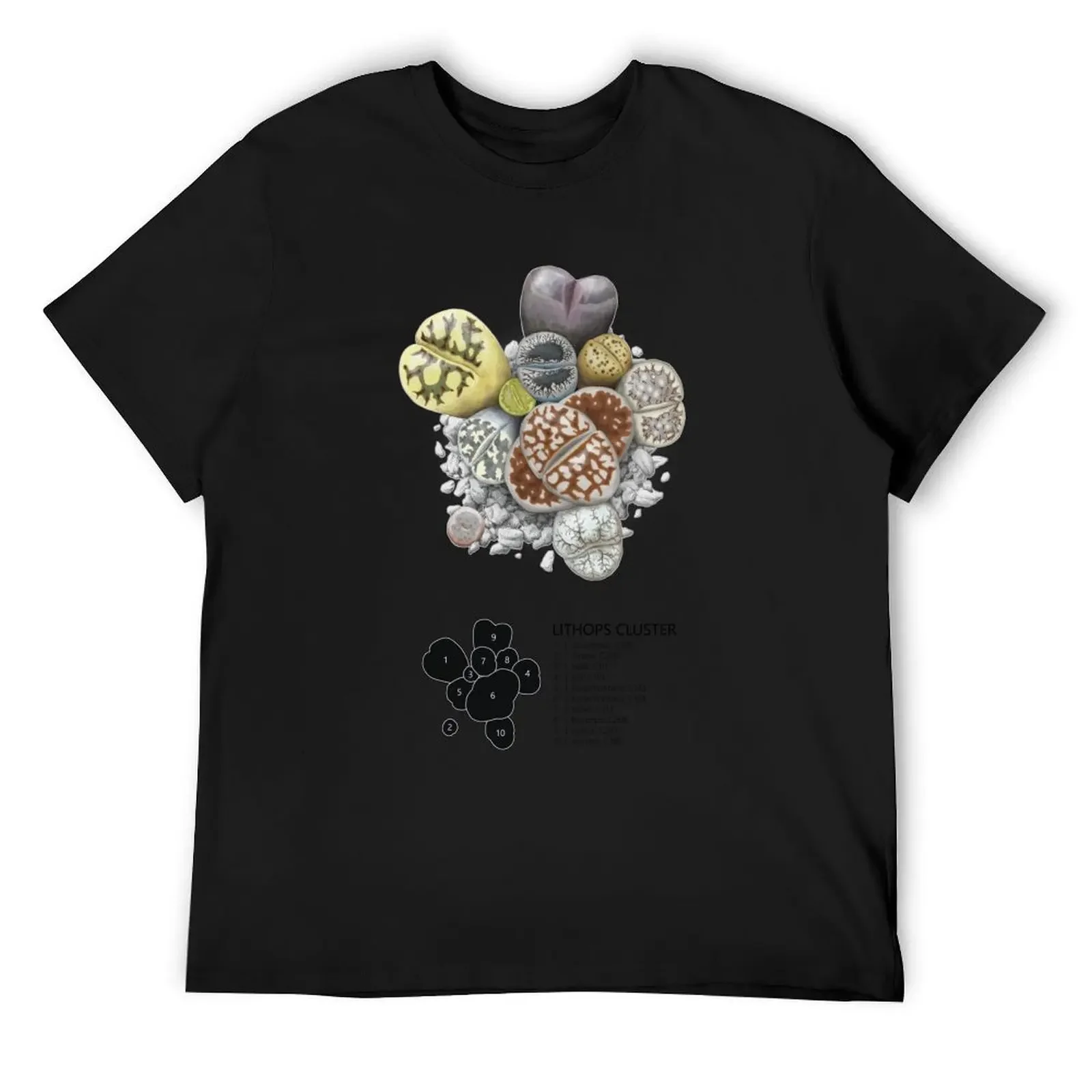 

Lithops Cluster (Labels) T-Shirt summer tops T-shirts man vintage anime shirt t shirts for men