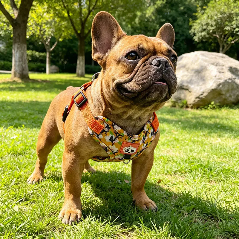Peitoral para cão com flores, ajustável e respirável_voghion.com