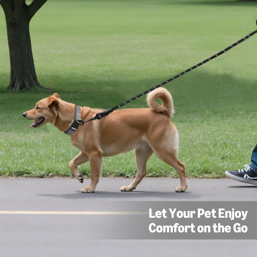 مقود كلب مستدير عالي التحمل، حبل متين للكلاب الصغيرة والمتوسطة والكبيرة، تصميم خفيف الوزن للتدريب على المشي والعمل في الهواء الطلق