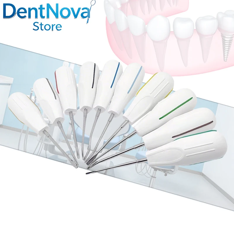 

Dental Luxating Elevator Set 10Pcs Stainless Steel Root Lift Forceps Curved Handle for Tooth Extraction Kit