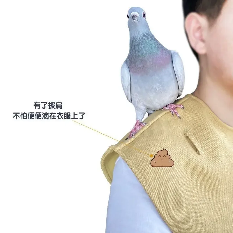 Pet birds use parrot owners to prevent soiling of clothing, stand up to prevent scratching, and wear shoulder wrap