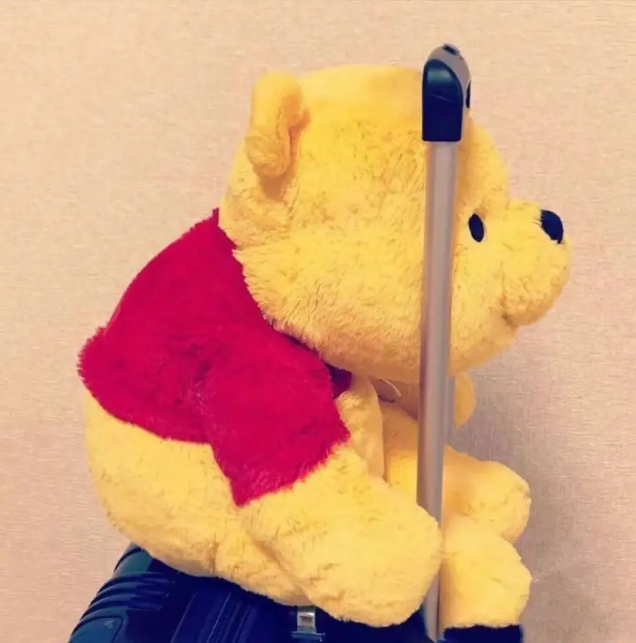 Flauschige große Plüschtiere 55cm Winnie Puuh Kissen Riesiger Plüschbär Niedliche Zimmerdekoration Kuschelkissen für Dekoration Ostergeschenk – Detail 4