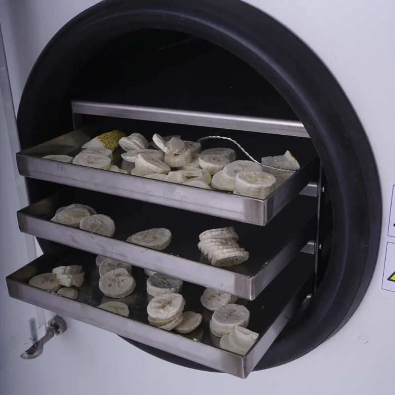 Household freeze dryer source factory, sample processing custom OEM vacuum freeze dryer