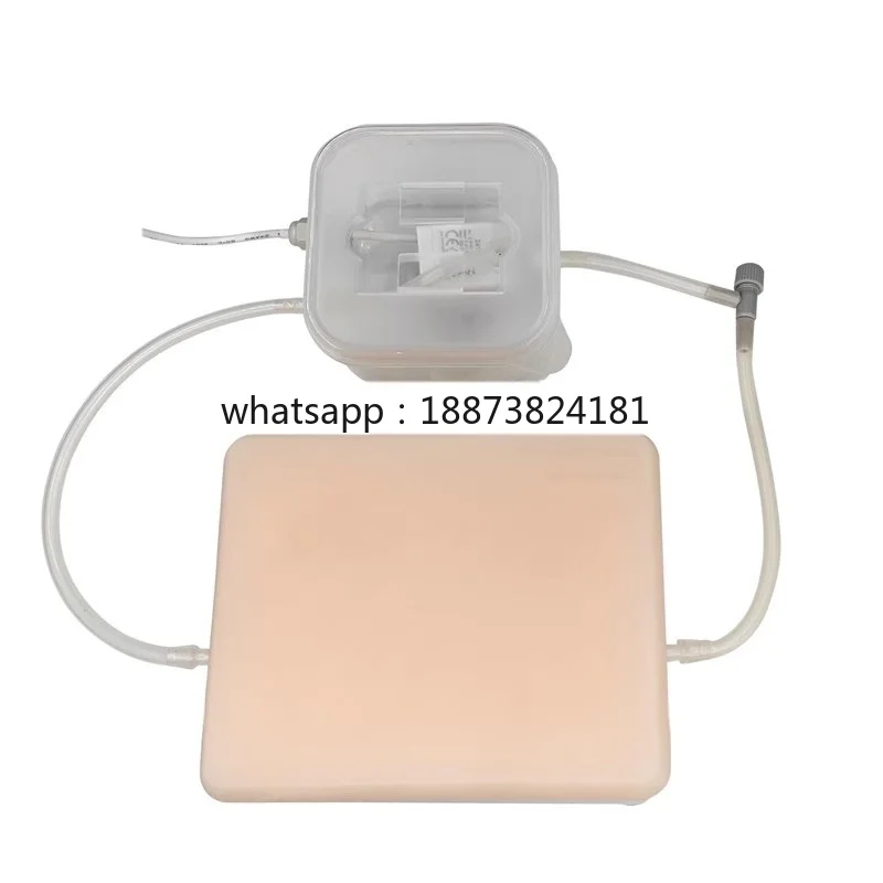 Ultrasonic Puncture Phantom Comprehensive Training Model Containing Vessels Tumors Nerves and Cysts fast shipping