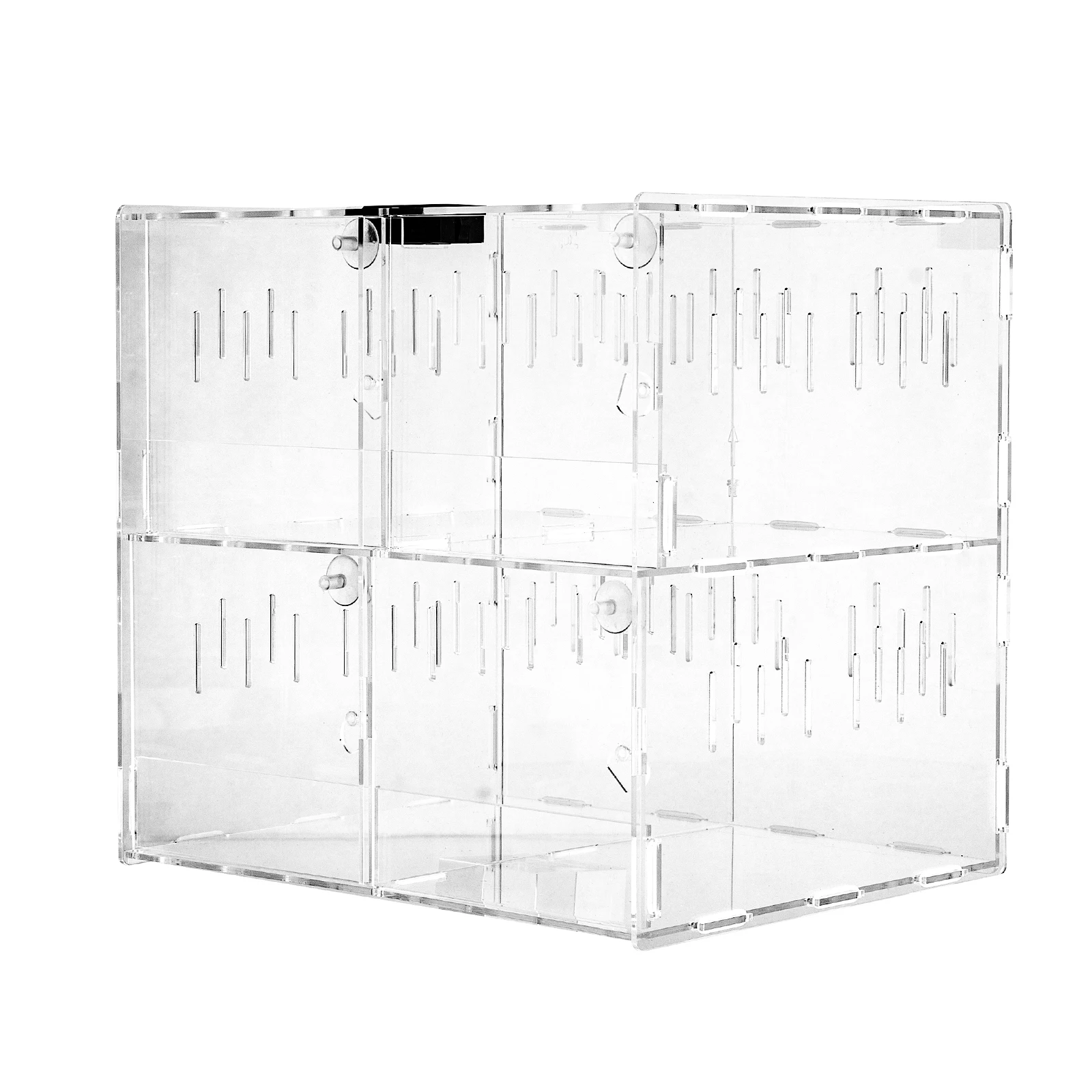 Acrylic 4-Grid Reptile Breeding Box 6