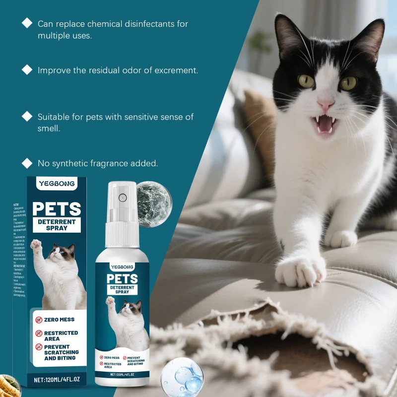 

Daily Moisturize Care: Moisturize Hydrate Care for Skin Replenish Moisture and Enhance Glow