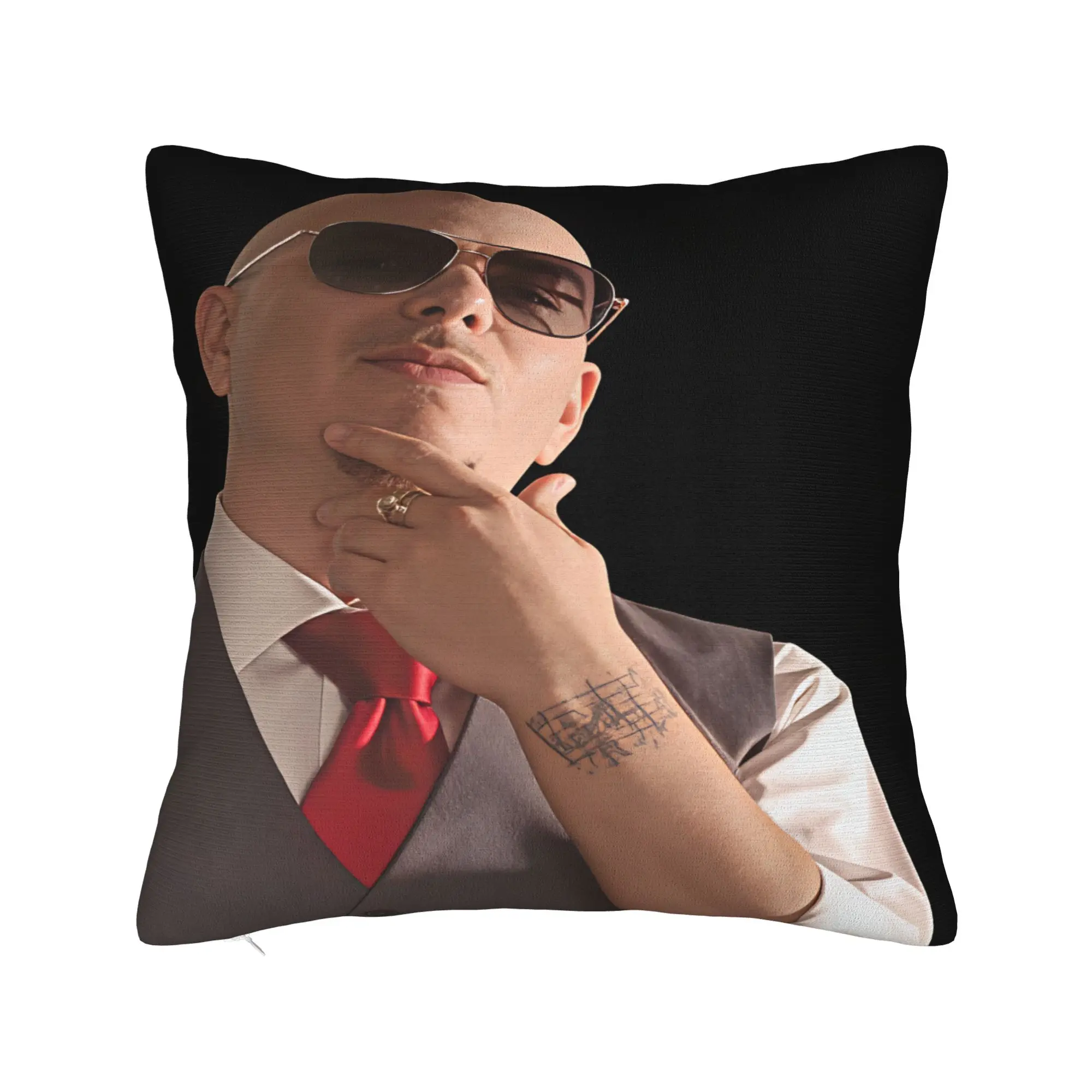 Pitbull Mr Worldwide Tour Pillow Case  Graphic Pillow Cover For Living Room Bed Chair Kawaii Cushion Cover