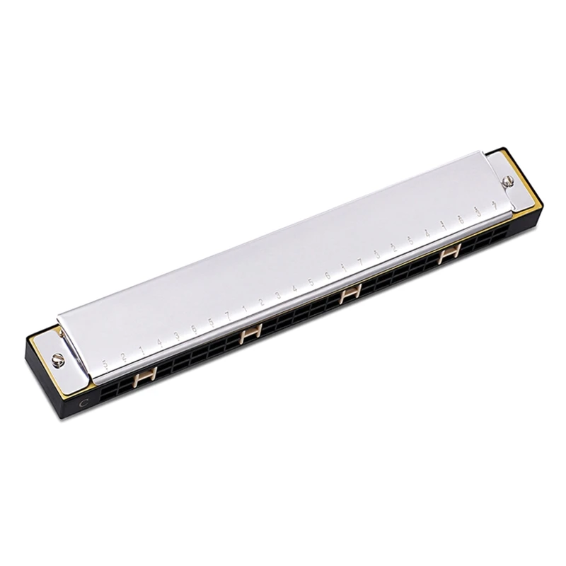 Professional Double Tremolo Harmonica for Beginners, 24-Hole, Diatonic, Adults Music, Student, Teacher Gift