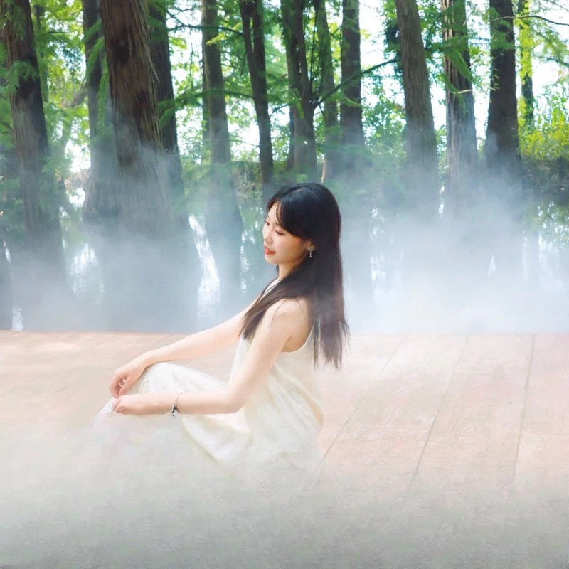 Scenic area cooling fog forest system, open-air restaurant artificial fog equipment spray landscaping, high pressure atomization